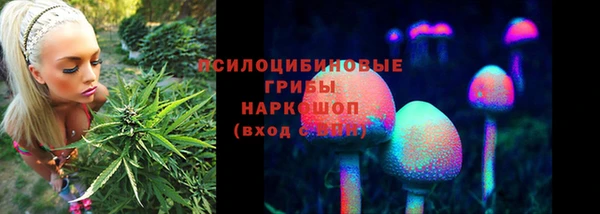 Альфа ПВП Абдулино