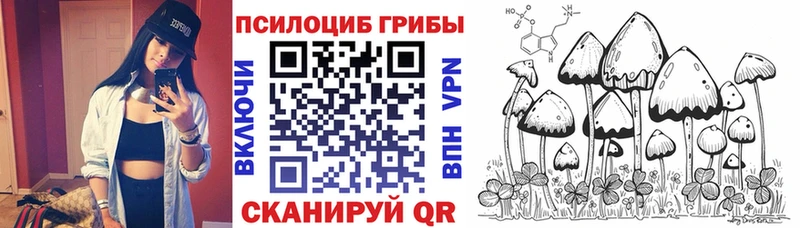 ОМГ ОМГ tor  Сергач  Галлюциногенные грибы Cubensis 